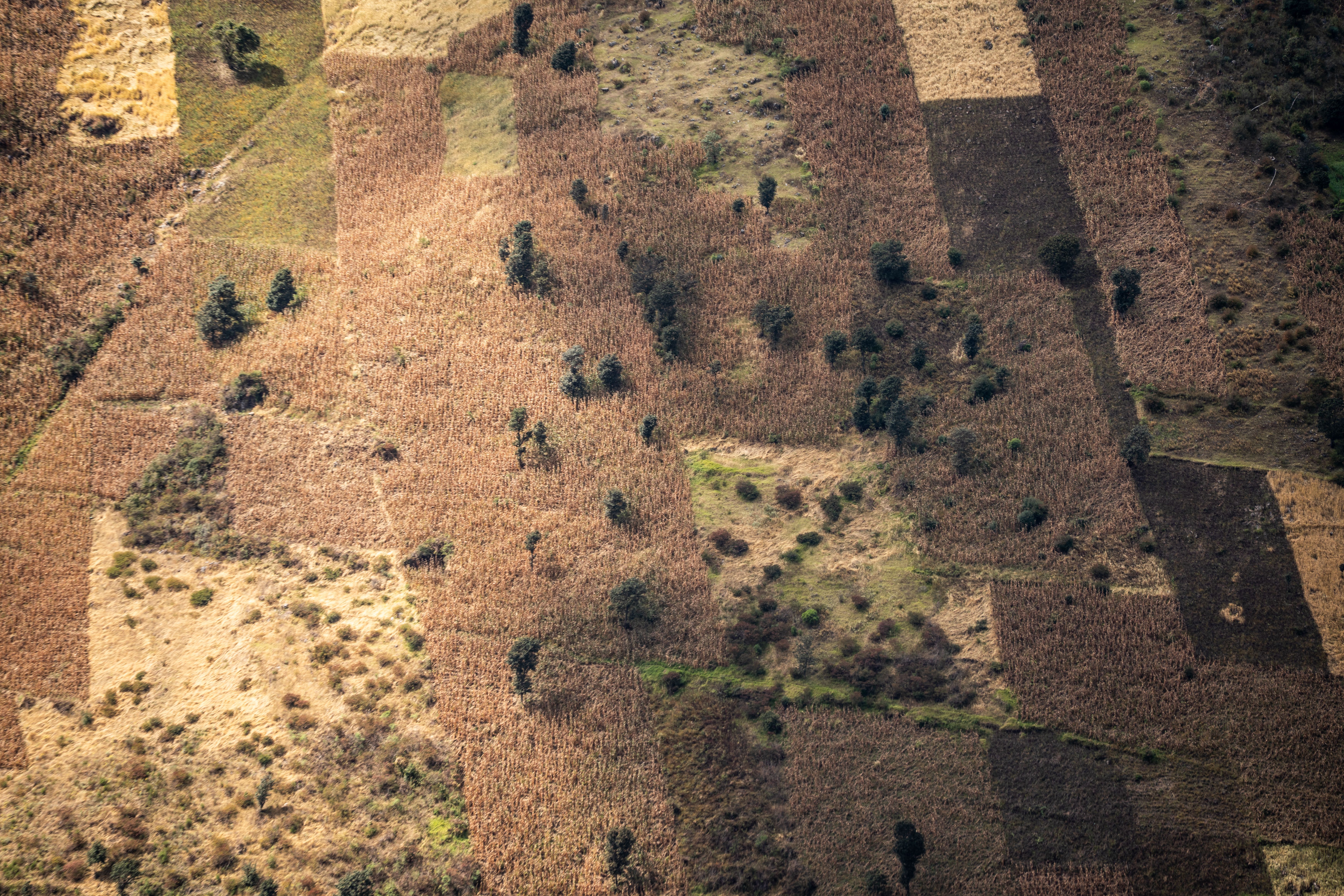 Viajero con eSIM en un paisaje de la República Centroafricana