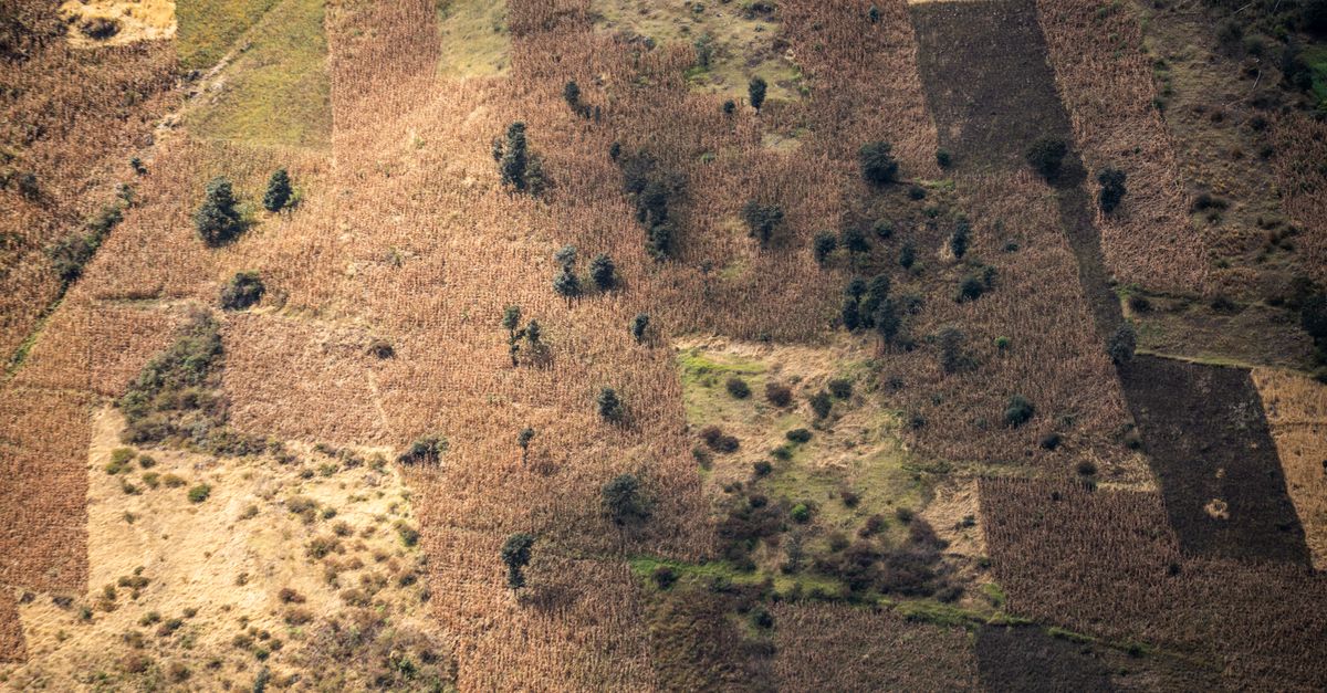 Viajero con eSIM en un paisaje de la República Centroafricana