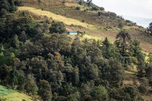 Free A picturesque hillside view with rural buildings amidst lush greenery in Chiantla, Guatemala. Stock Photo
