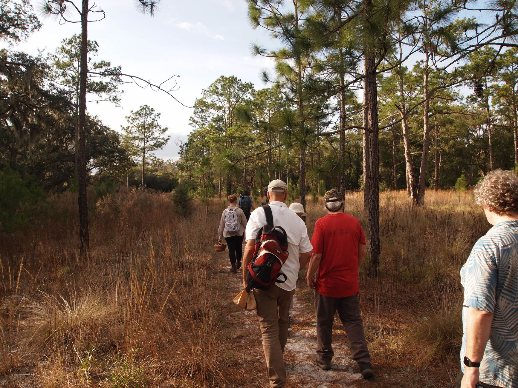 People hiking through a forest in Gainesville, Florida, exploring nature and scenery.