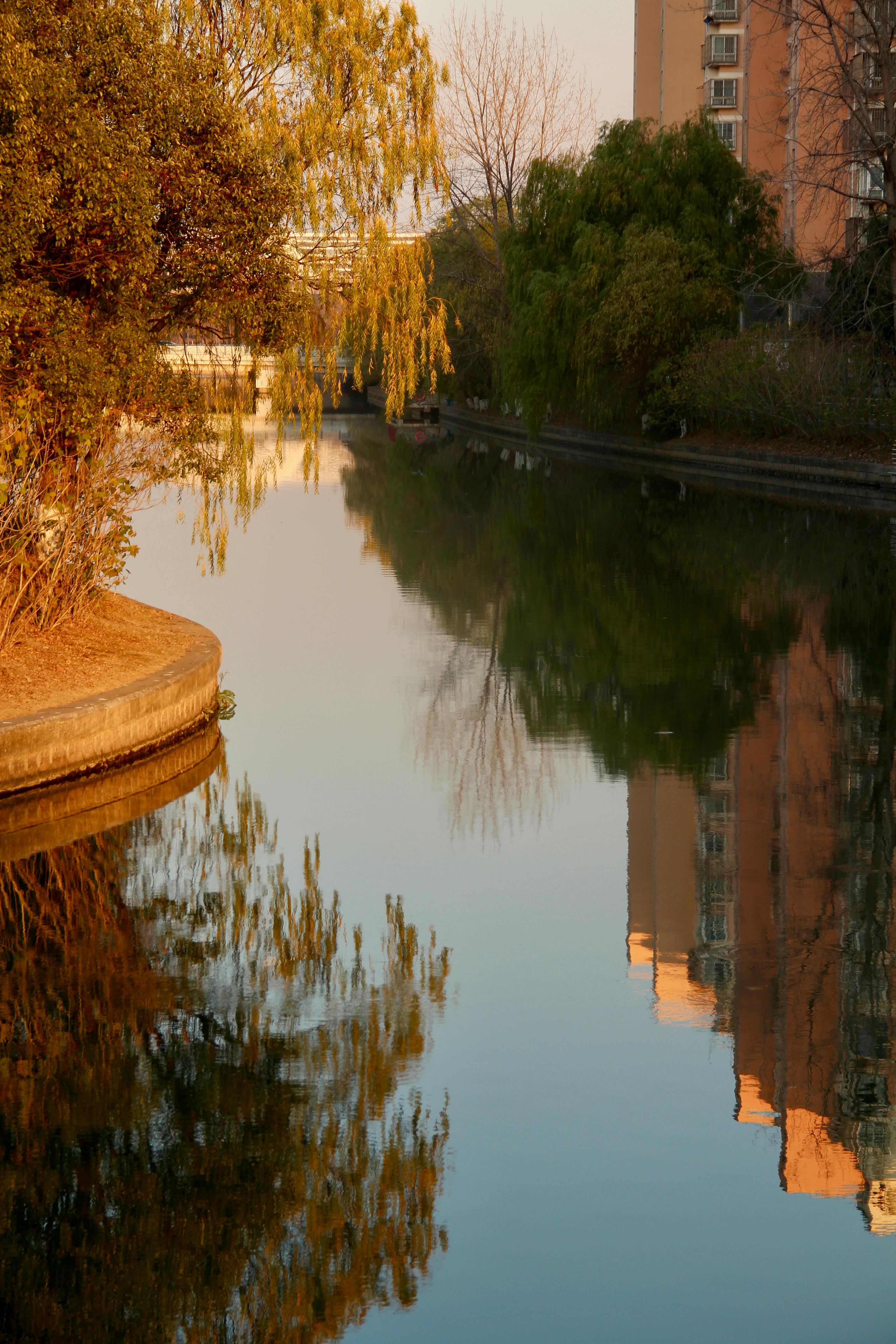 Value for Money: Is the NutriBullet 600W Worth Your Investment?