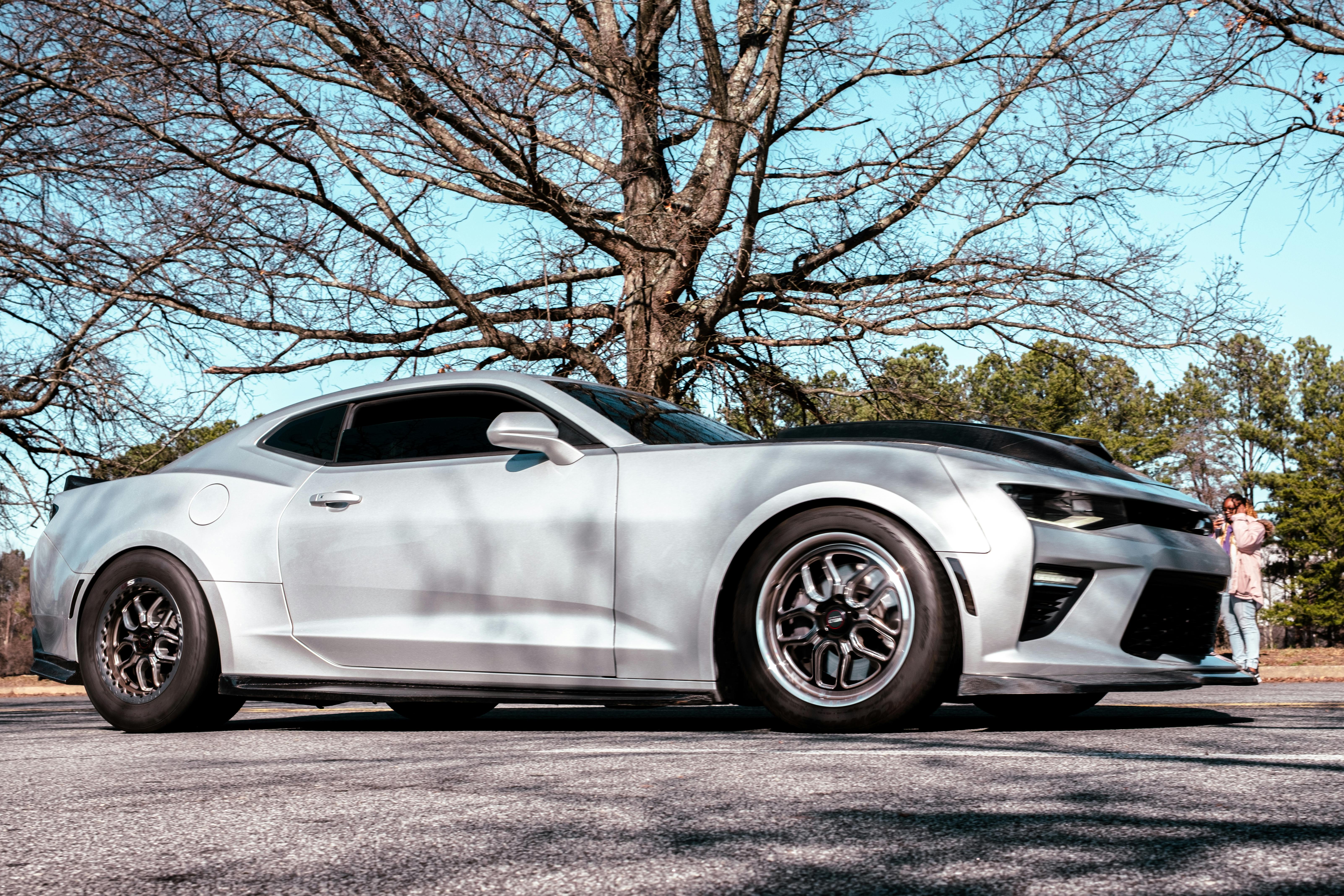 grátis Um elegante carro esportivo branco estacionado sob uma árvore sem folhas em um dia ensolarado de inverno. Foto profissional