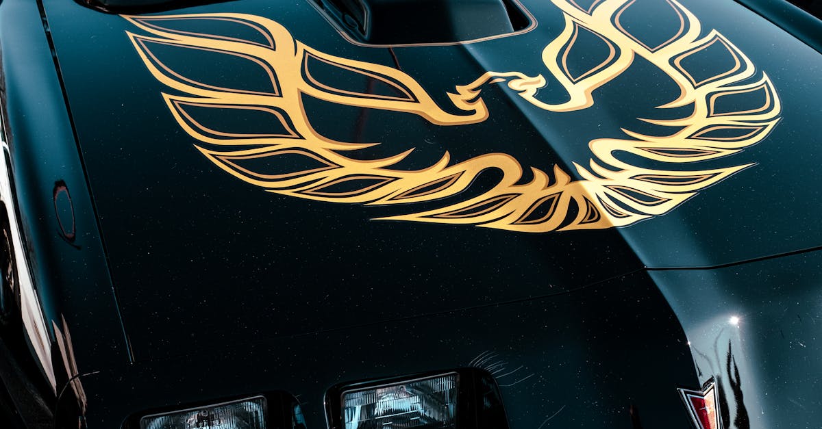 Professionelle Automobil Studiofotos