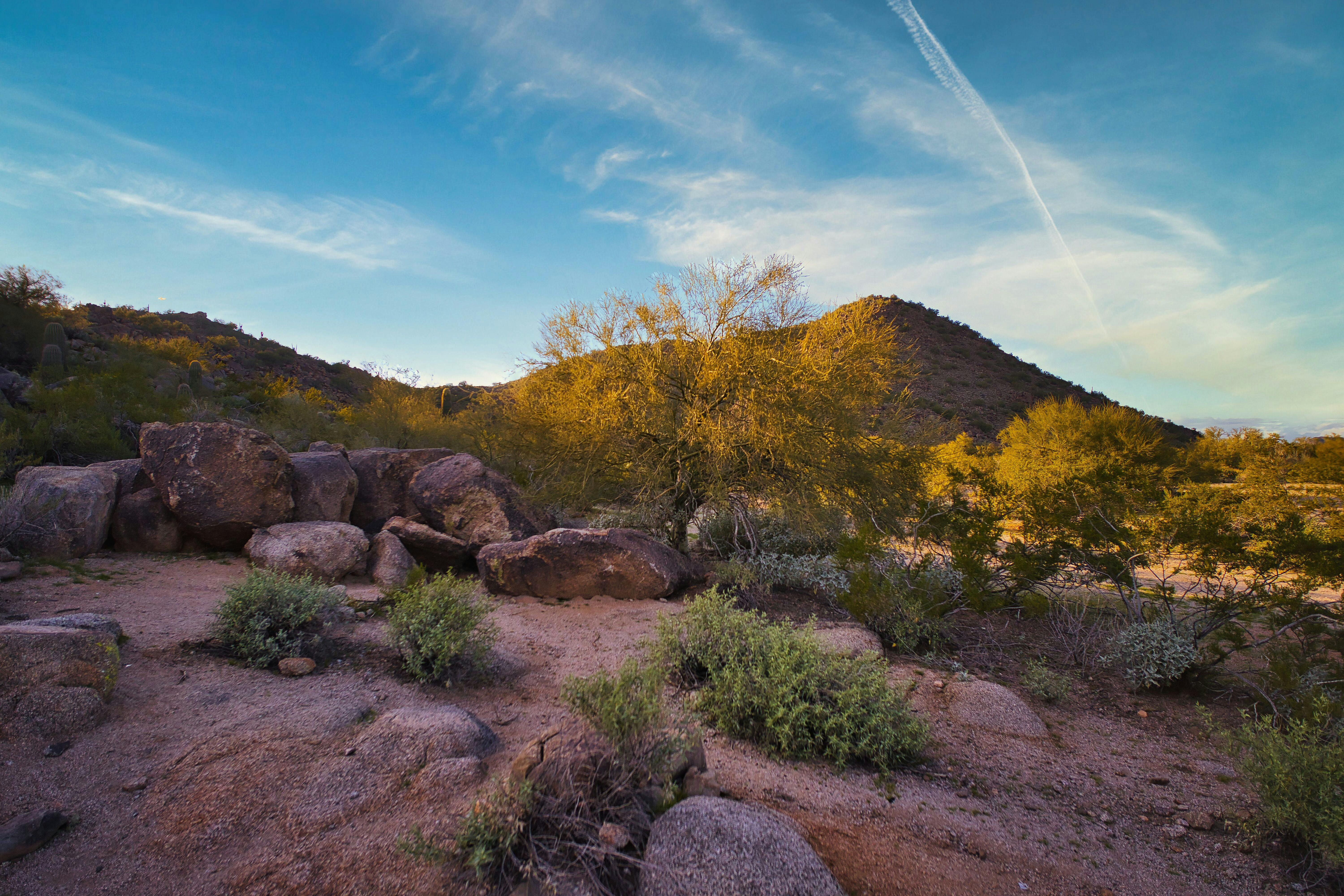 Skyline de Phoenix Arizona