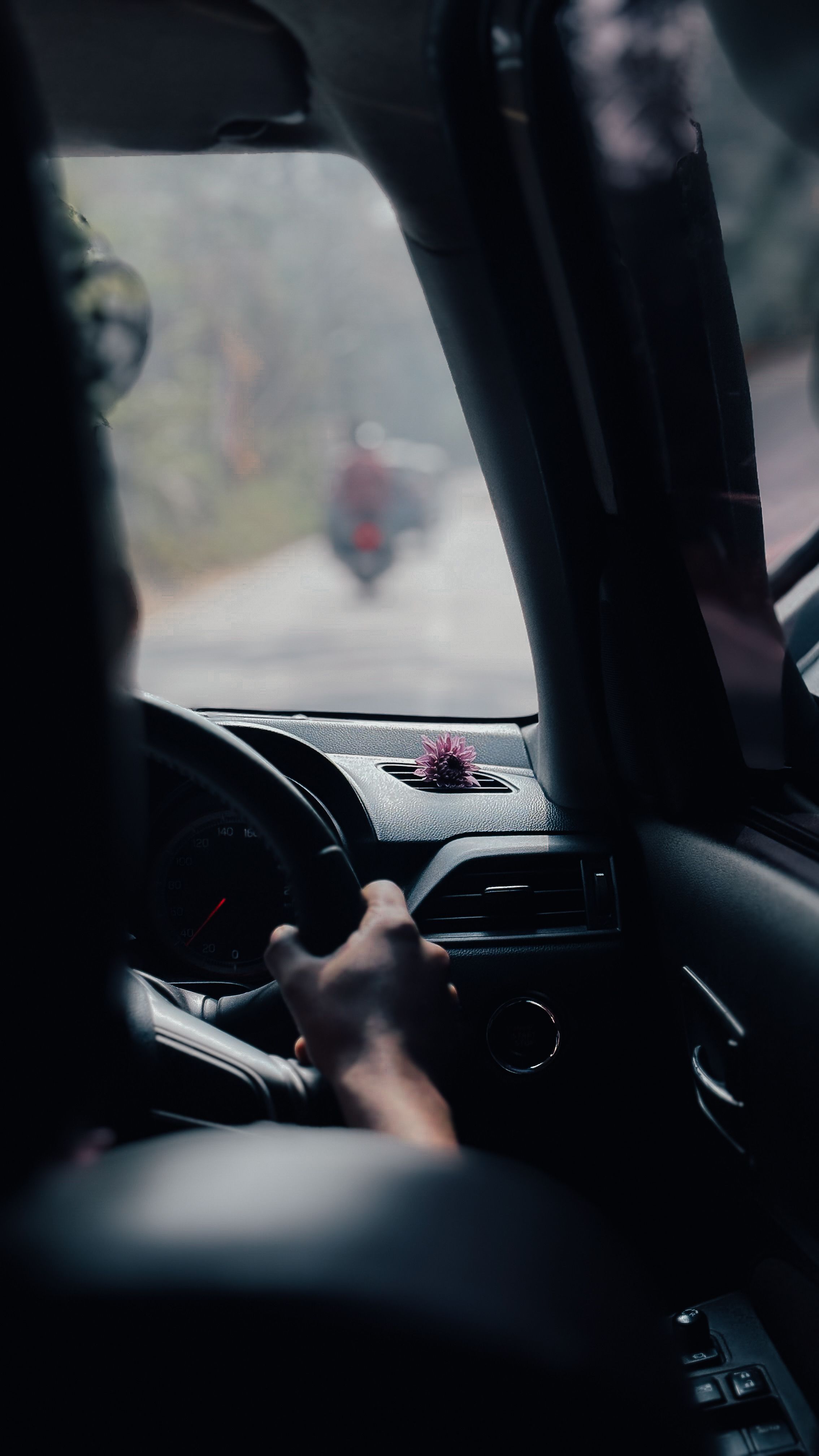 Save Your Driving Licence