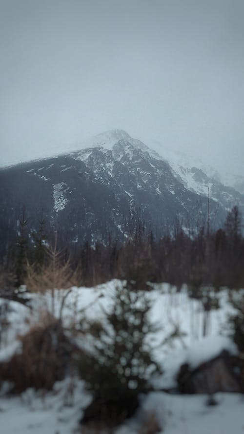 冬季, 塔特拉, 巨大的山脉 的 免费素材图片