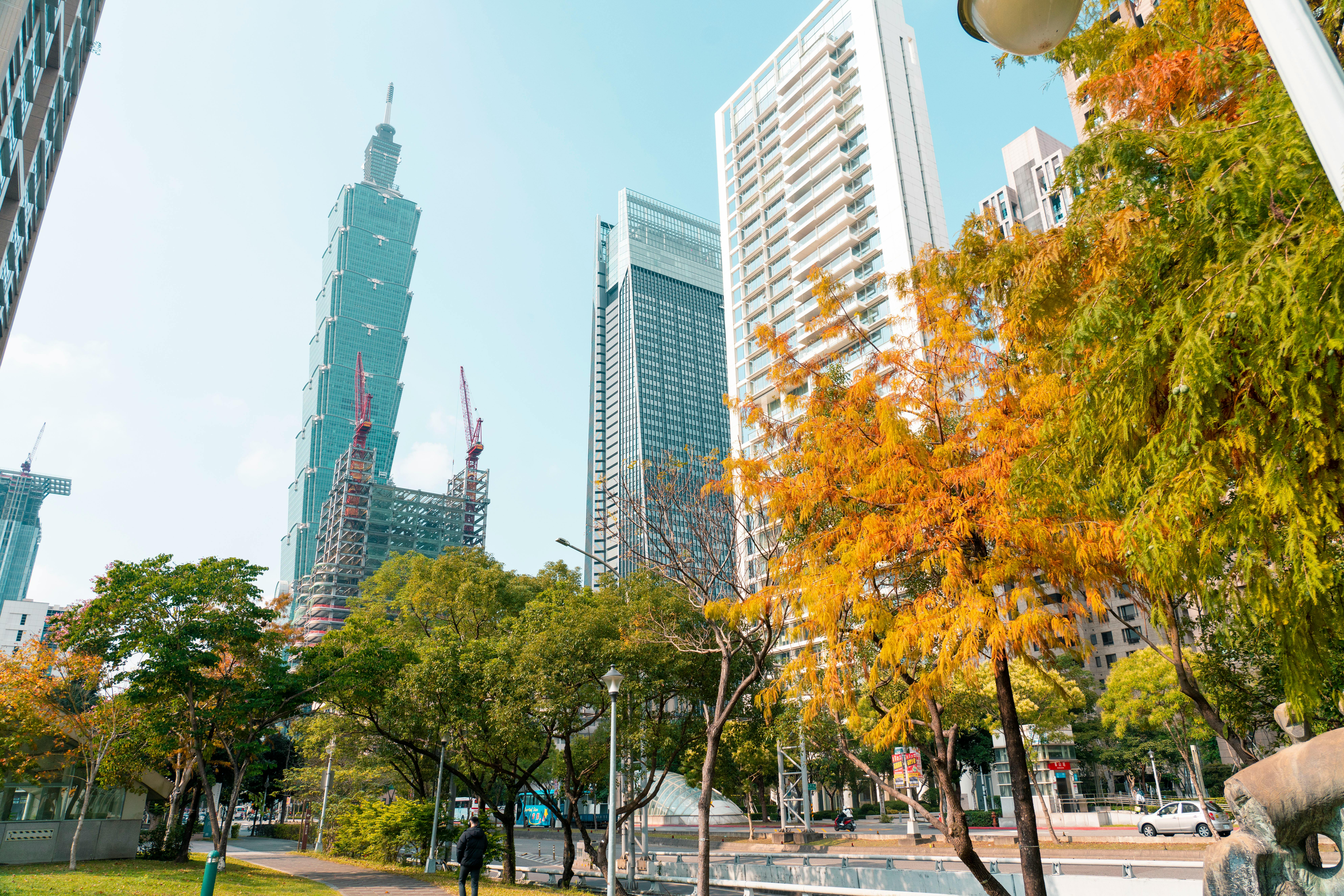 Vibrant Taipei cityscape with iconic Taipei 101 tower and autumn foliage in Taiwan.