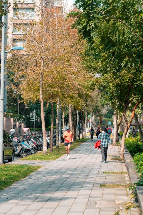 Free People walking along a tree-lined sidewalk in Taipei City. Stock Photo