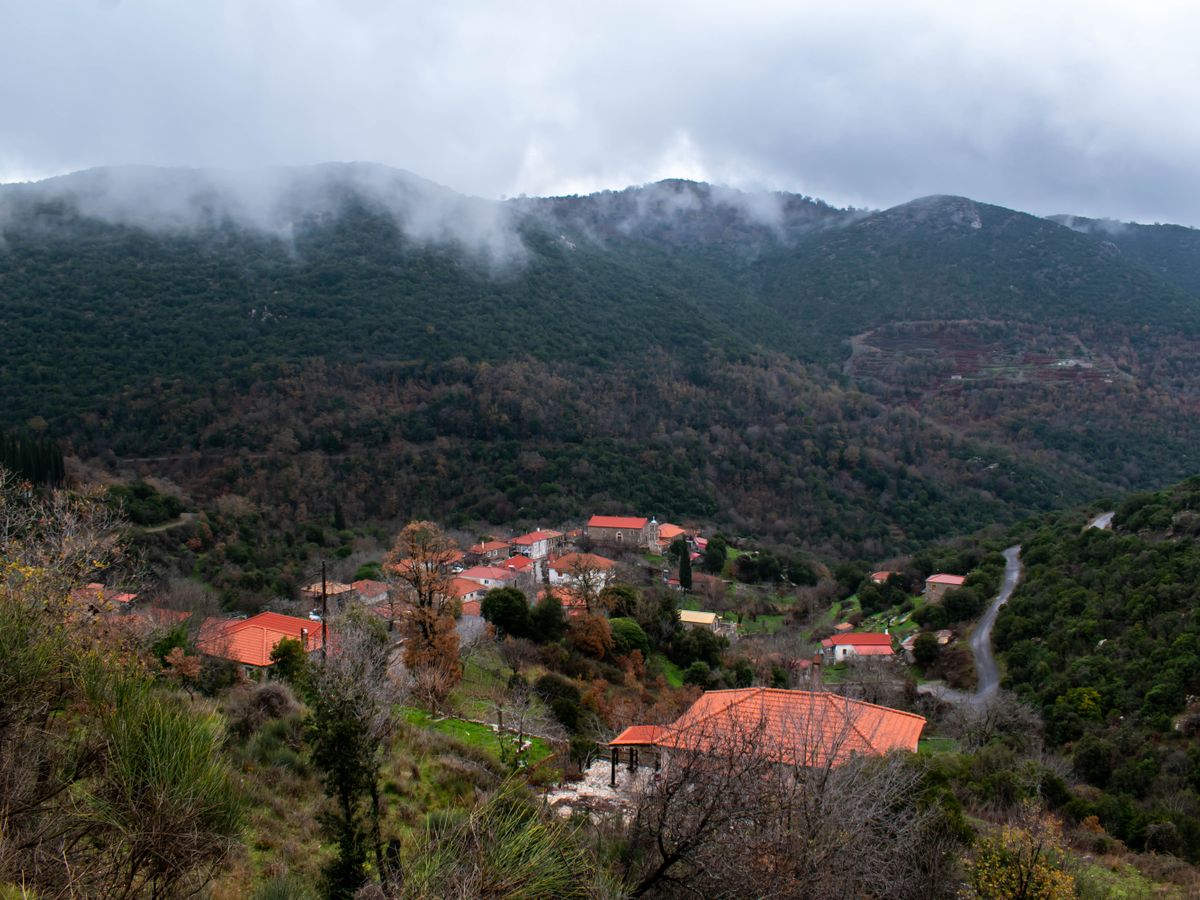 3 Day Personalized Wellbeing Detox in Myrtas, Greece 3
