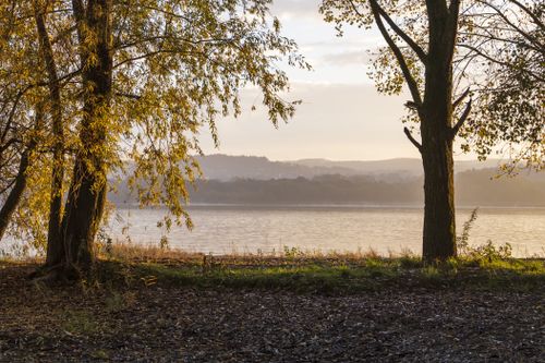 Free Peaceful autumn landscape with trees by a lakeside at sunset, featuring golden foliage and serene water. Stock Photo