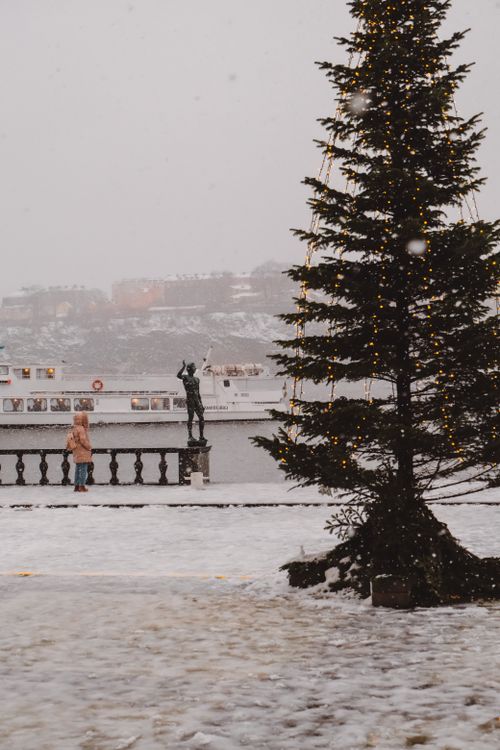 Free Charming winter scene featuring Christmas tree lights and snowy landscape in Stockholm. Stock Photo