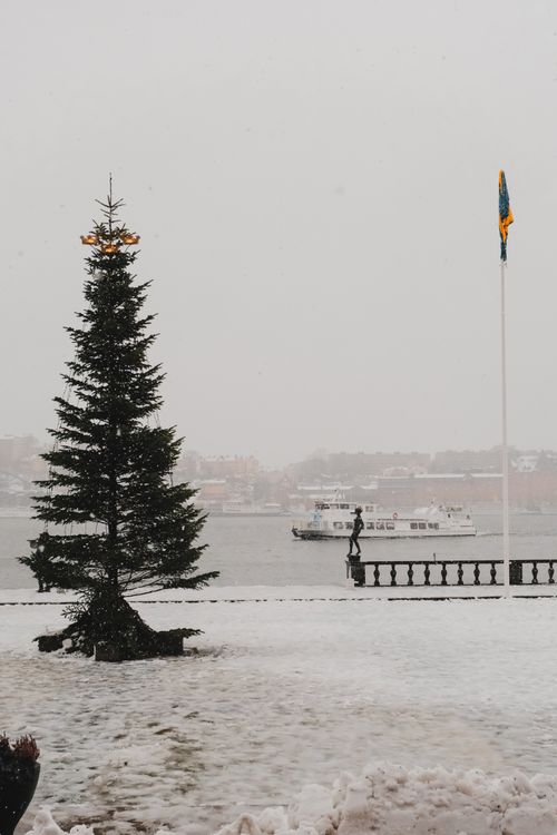 Free Winter scene of Stockholm waterfront with a decorated Christmas tree and snowy landscape. Stock Photo