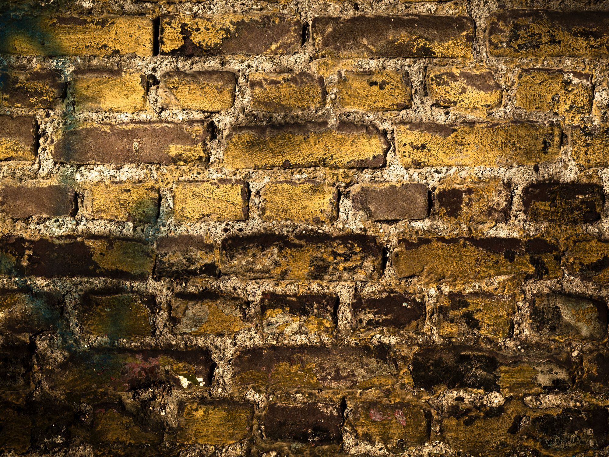 Plastering and Skimming in Stockwell, Lambeth — professional painter and decorator at work