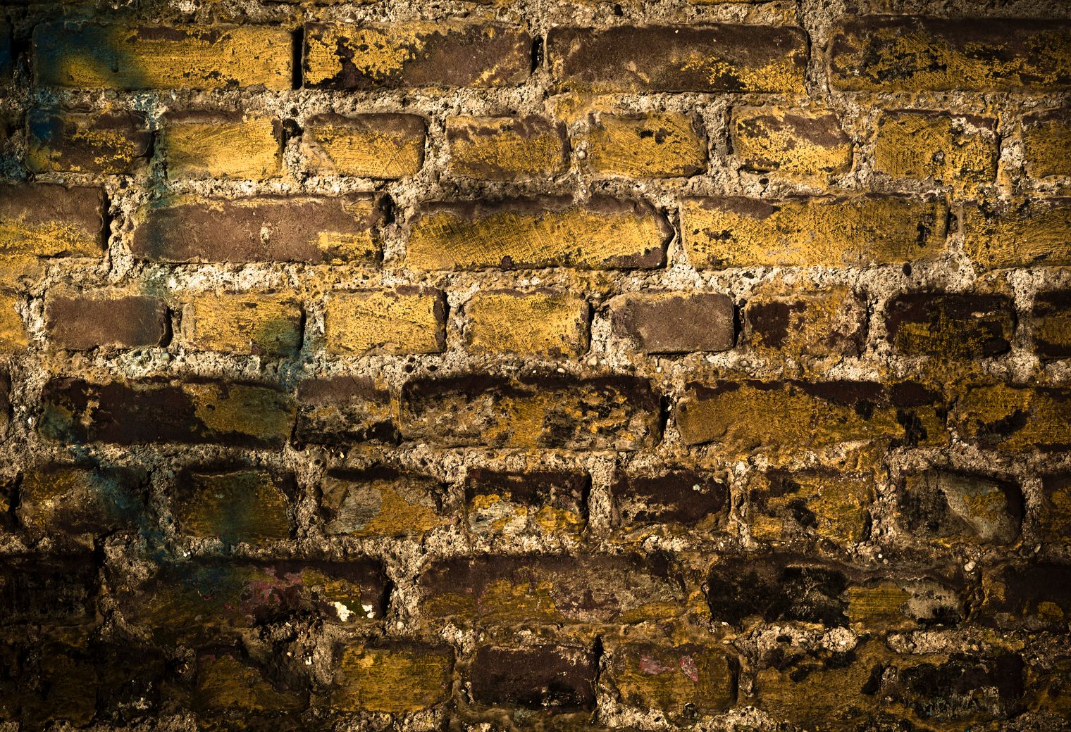 Masonry and Render Painting in Surbiton — walls rolled to an even, flat finish