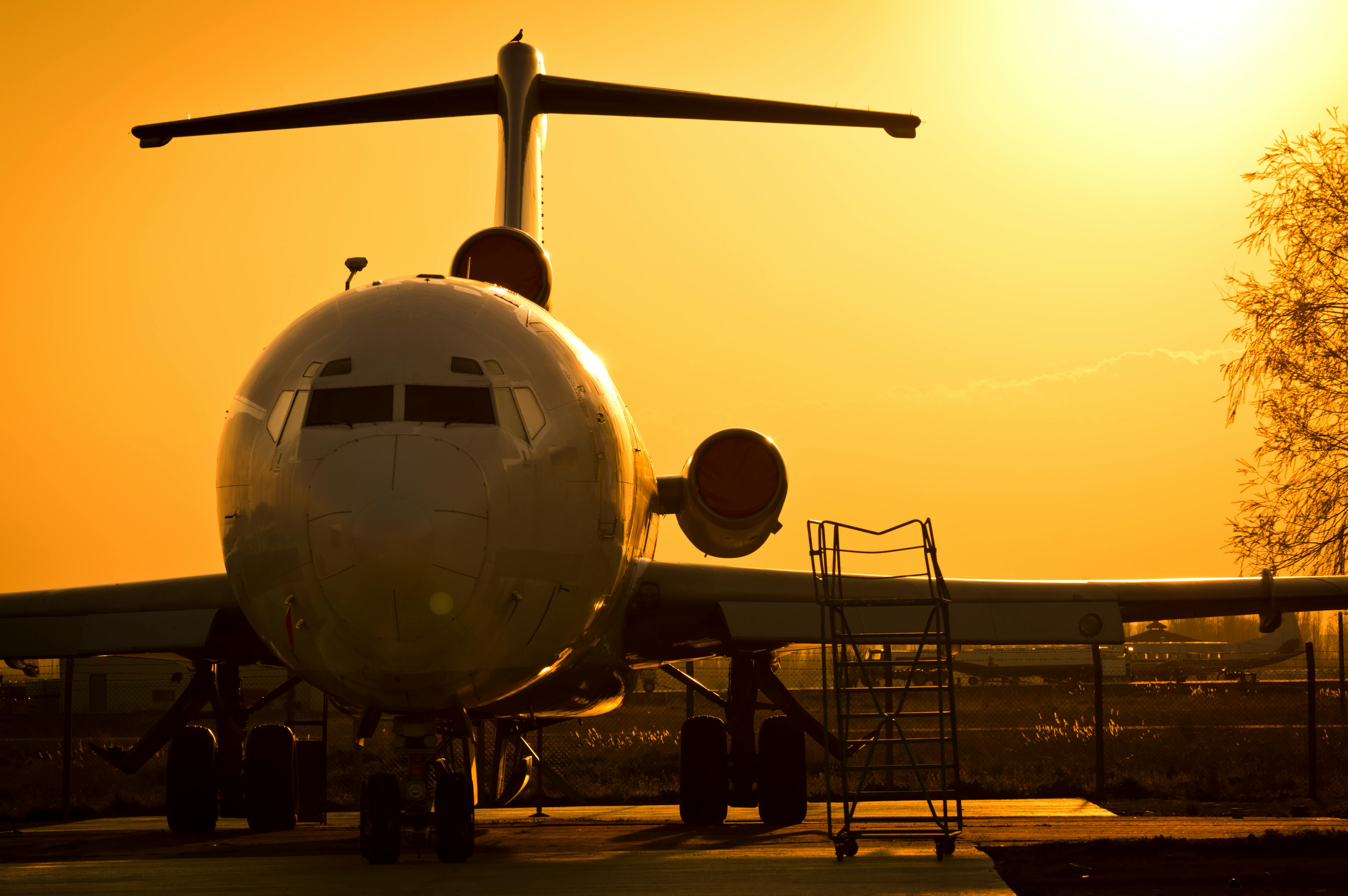 The Future of Digital Innovation