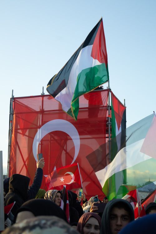Free Group of people waving Turkish and Palestinian flags at a demonstration. Stock Photo