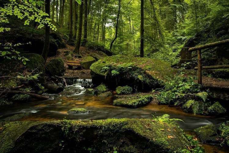 Waterfalls In Forest