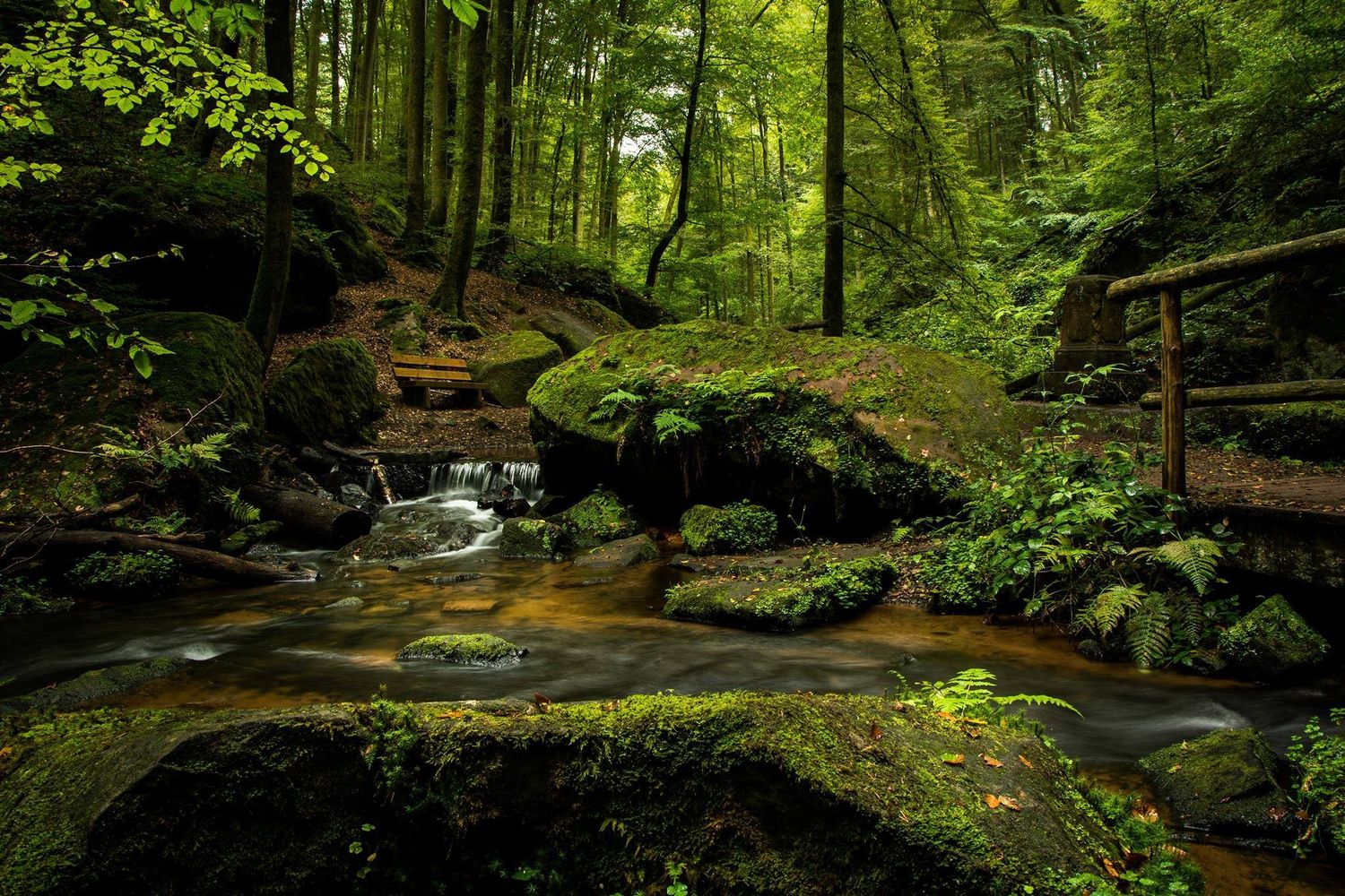 Desktop Backgrounds Nature Photos Download The BEST Free Desktop 