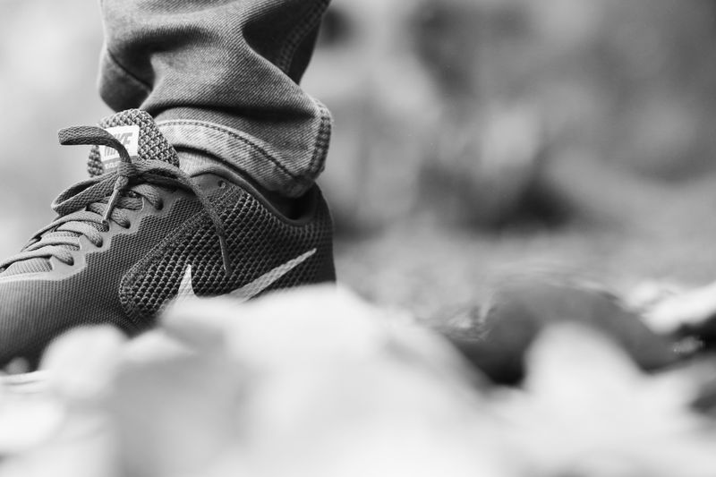 Peisaj montan cu traseu de trekking prin pădure