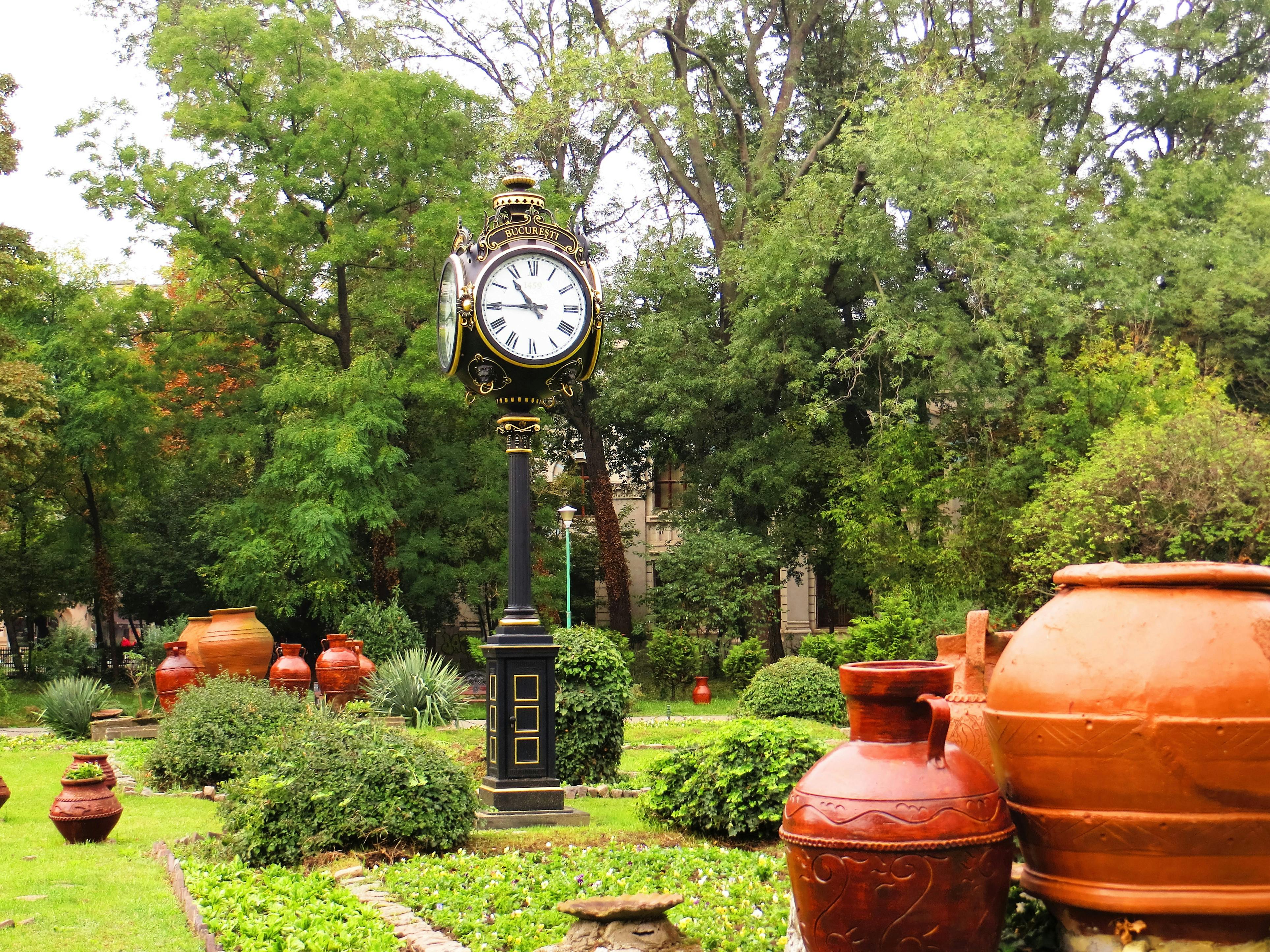 Jardin paysager piscine