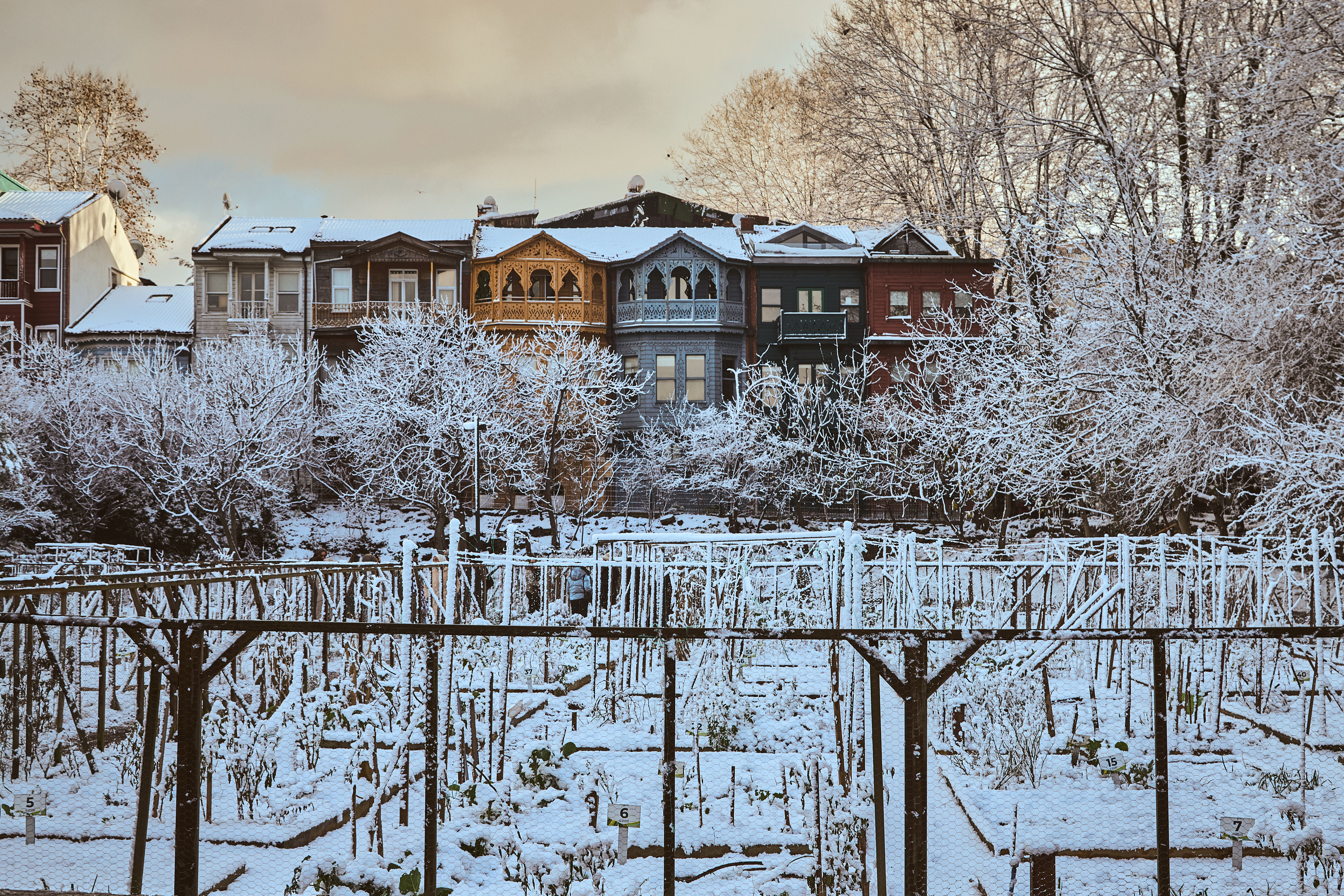 Winterizing on a Budget: Protect the House and Cut the Energy Bill