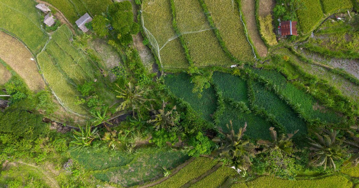 Les Meilleurs Éco-Destinations pour un Voyage Responsable