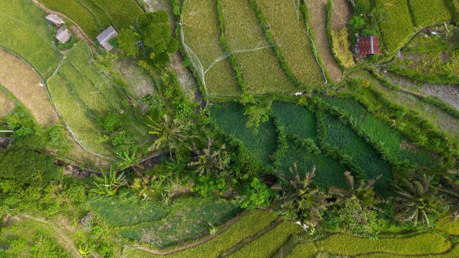 what is the weather like bali december 2023?
