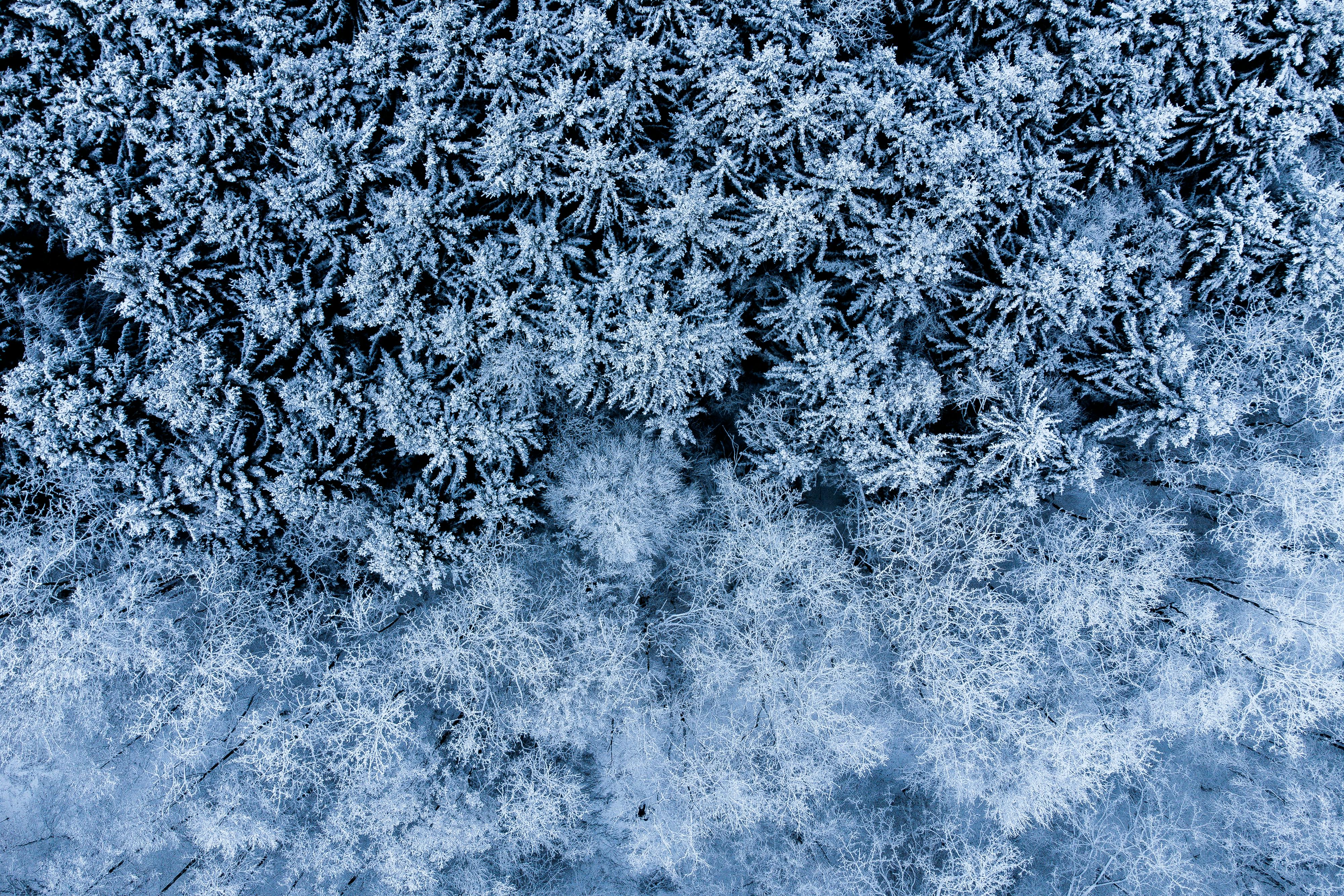 ICE, Climate Bonds Initiative Partner to Strengthen Sustainable Bond Data Transparency — Photo by Nikola Tomašić on Pexels
