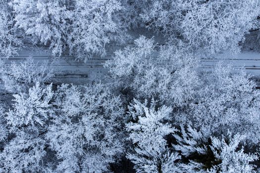 A stunning aerial shot showcasing a snow-covered winter forest, captured from above.