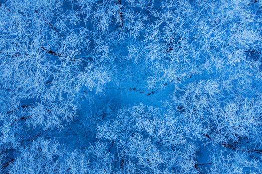 Stunning aerial view of snow-covered trees in a winter landscape with a vibrant blue tone.