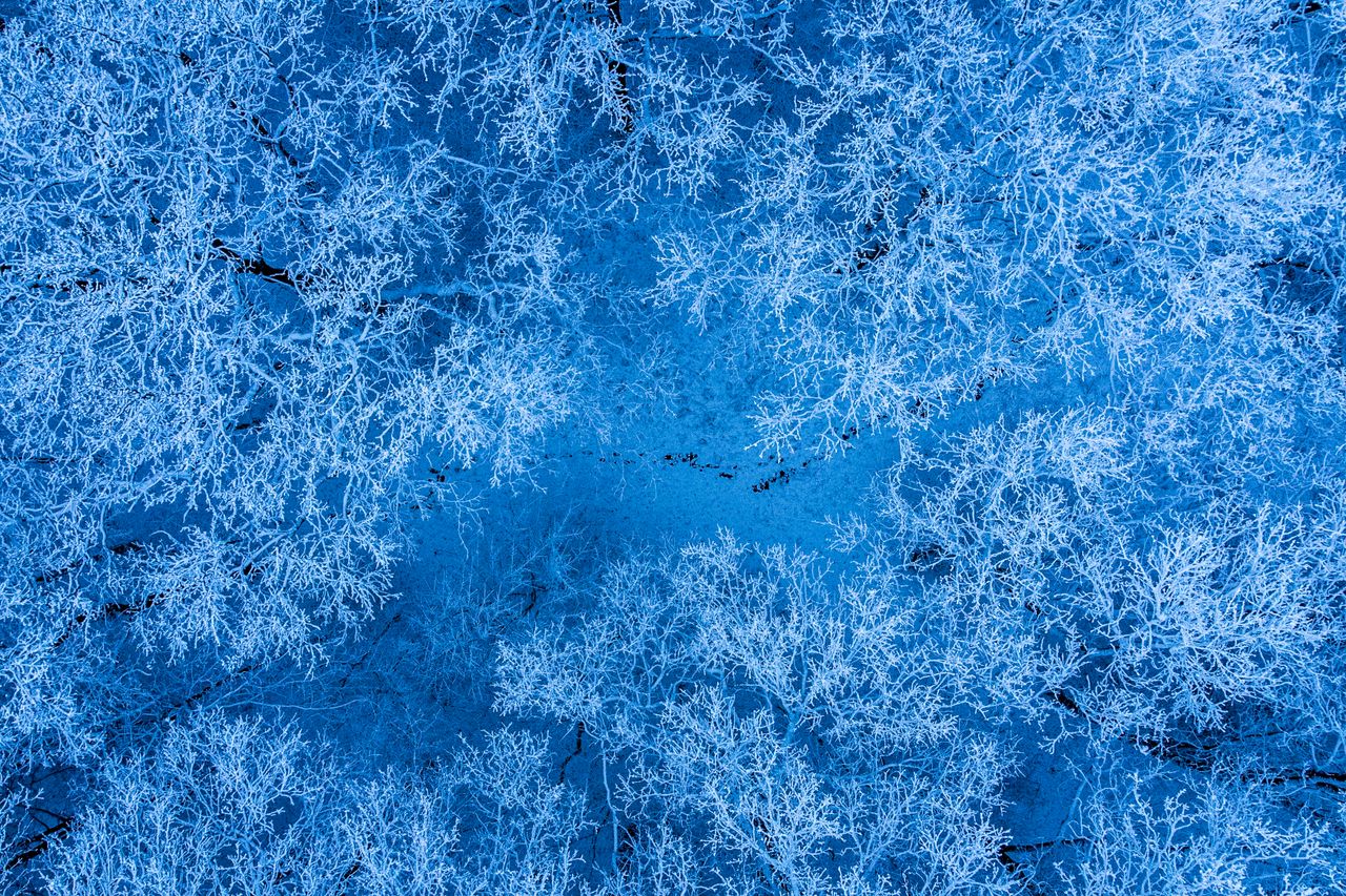 stunning aerial view of snow covered trees in a winter landscape with