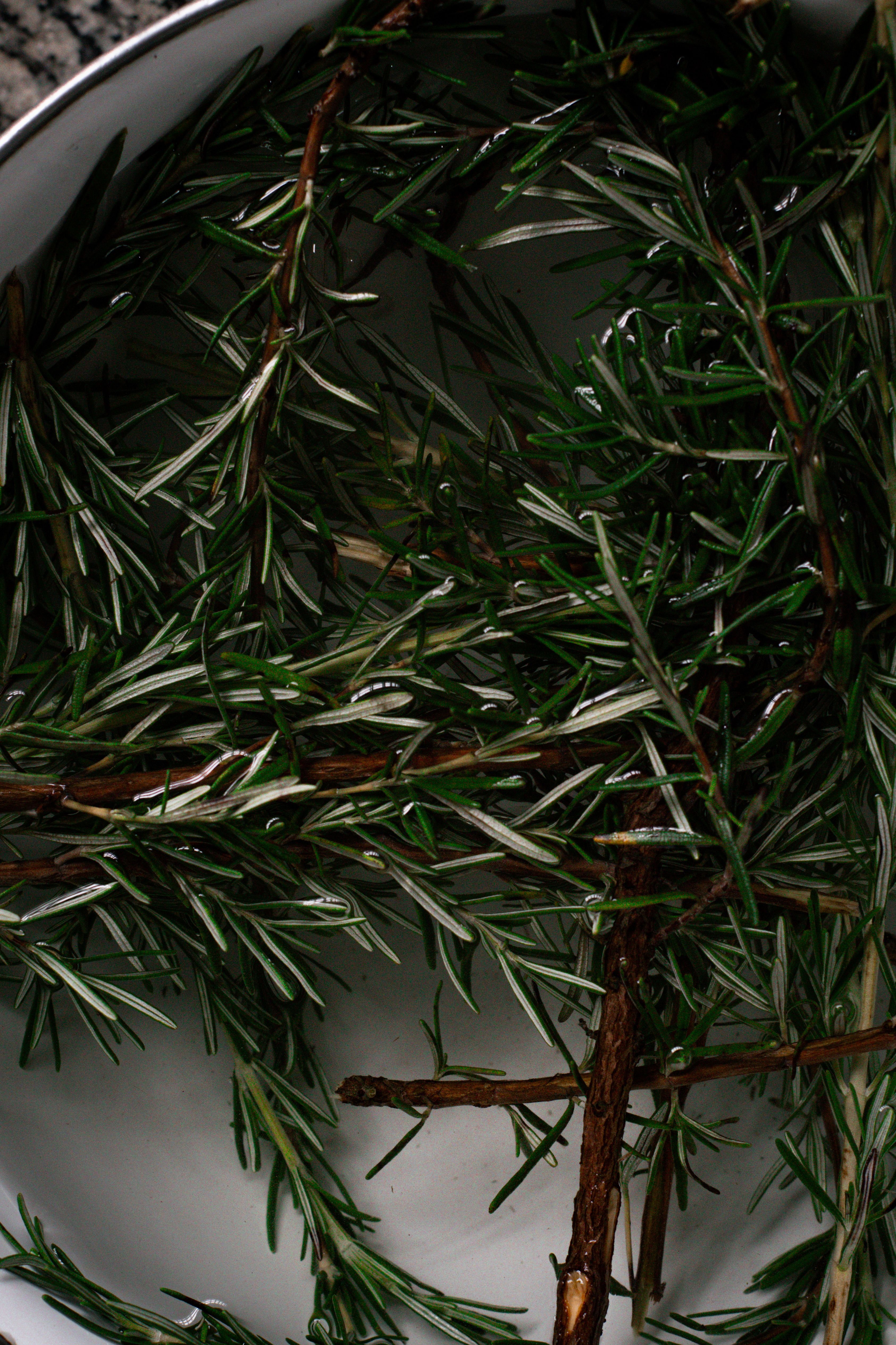 Fresh rosemary branches placed in a ceramic bowl, highlighting the vibrant green hues and culinary freshness.