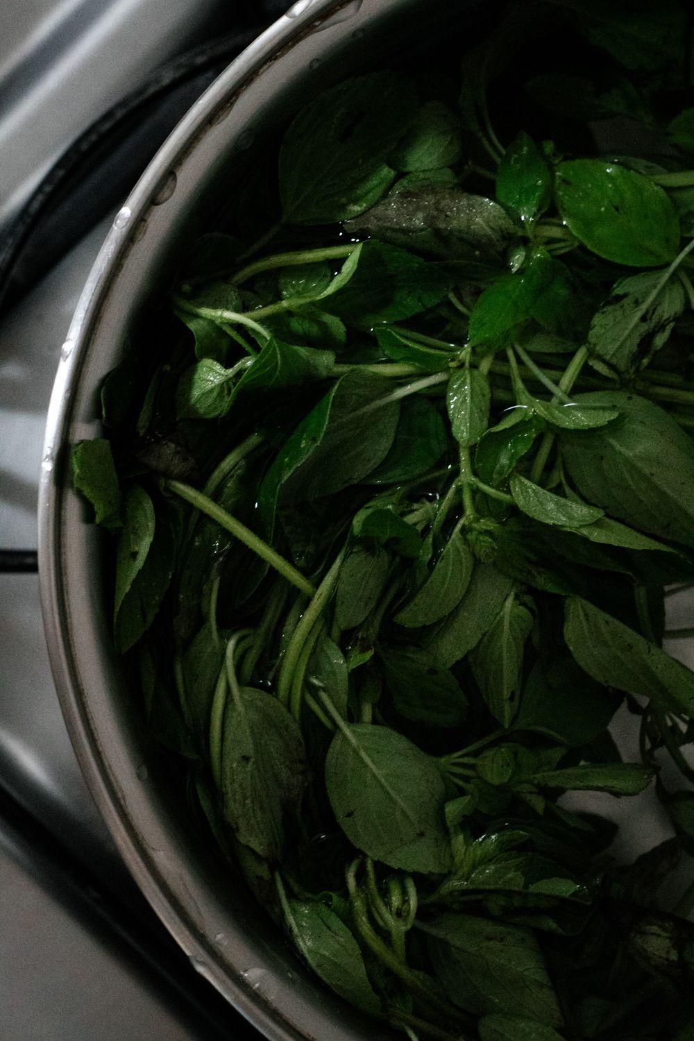 Fresh Basil