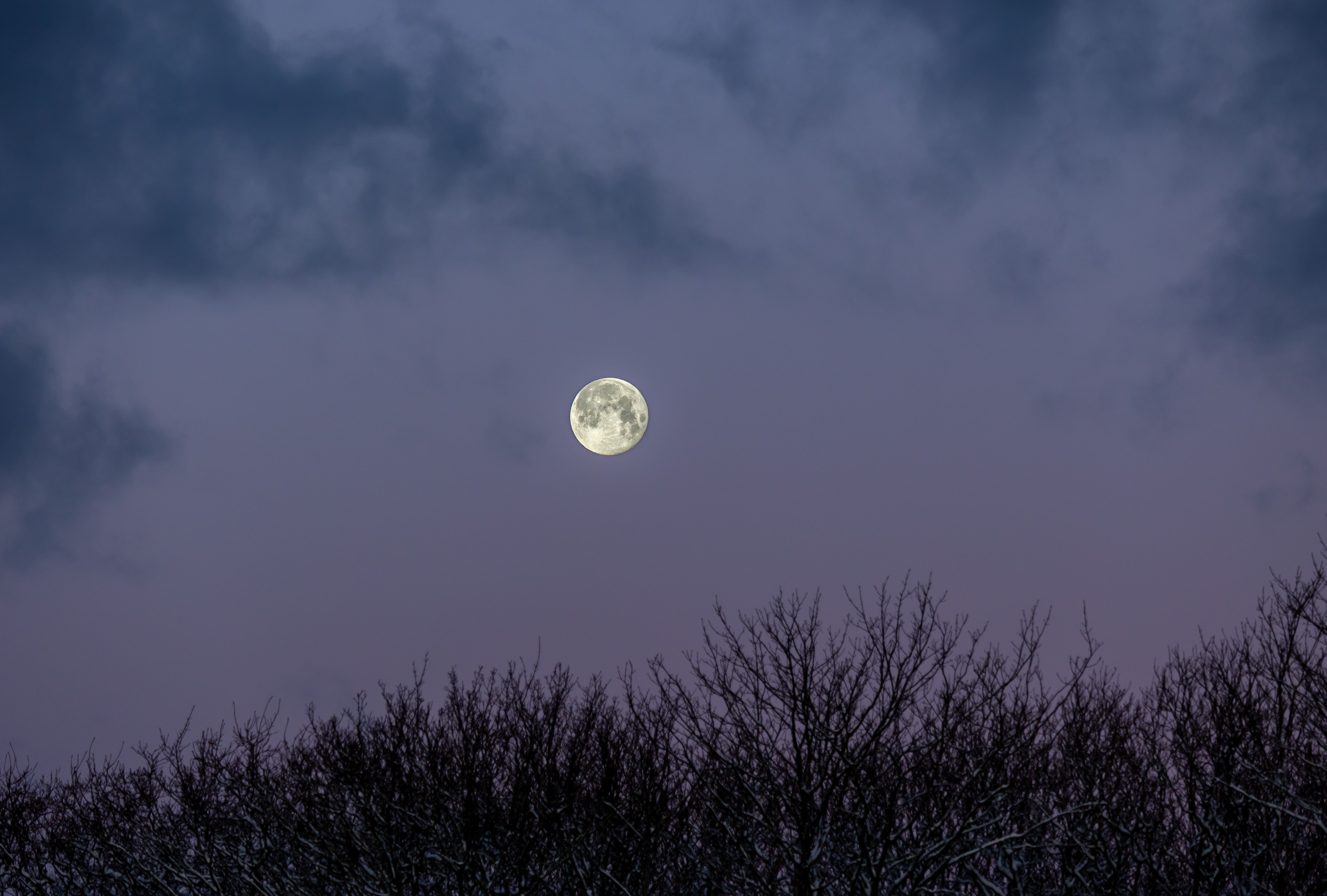 Does the Full Moon Really Affect Your Health and Mood?