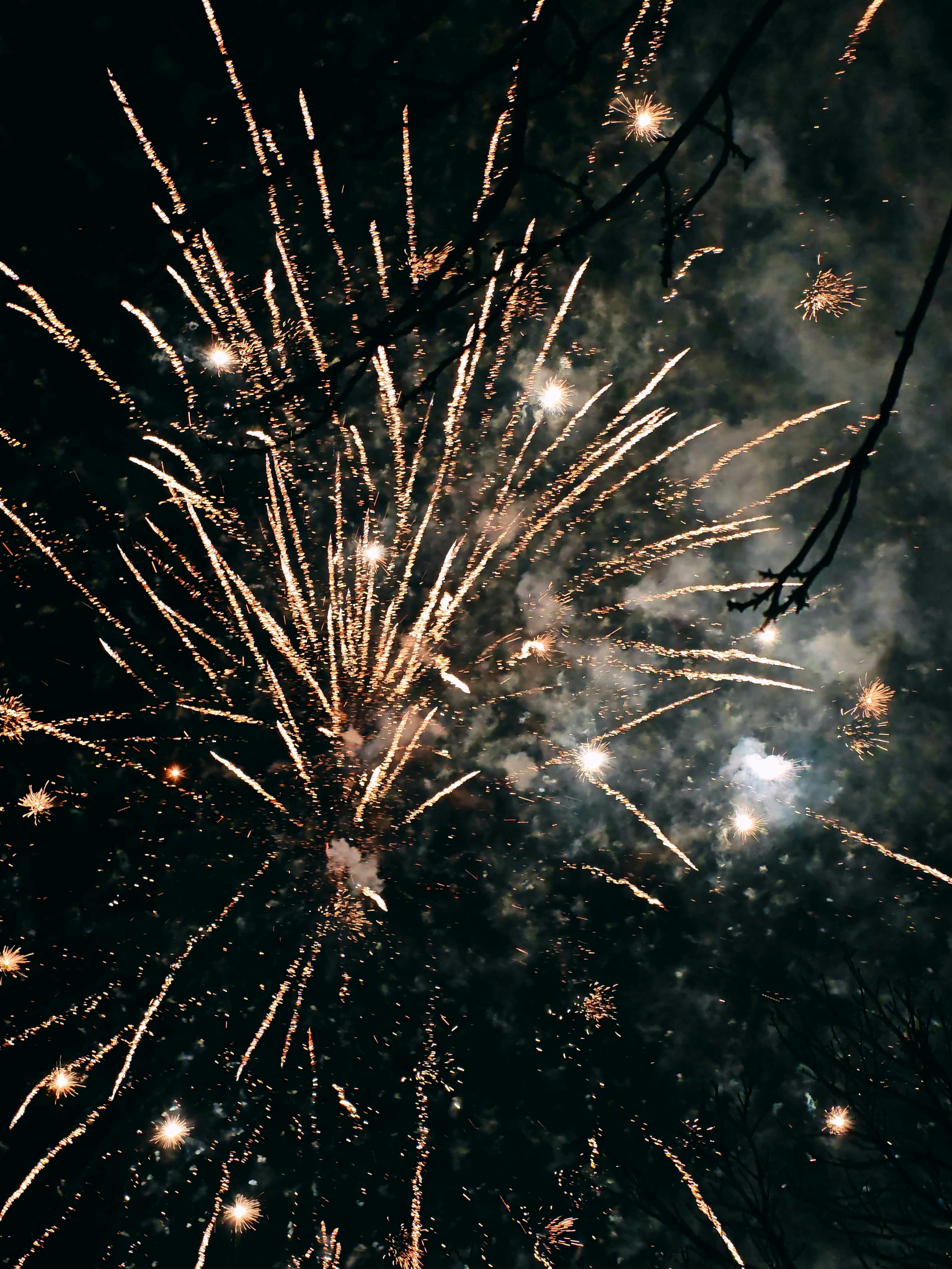 Summer Party Cookbook