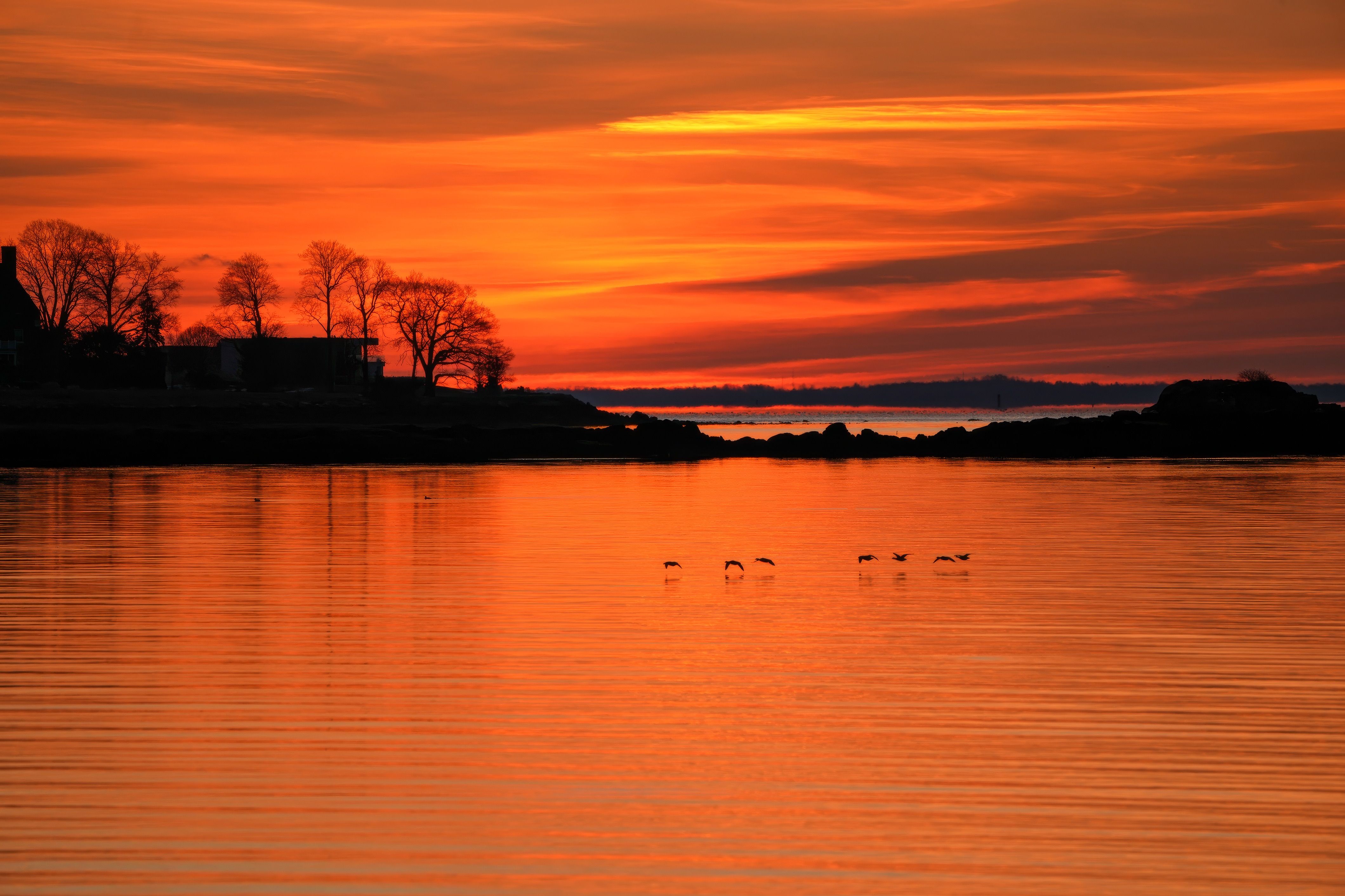 Stunning Sunset Over Serene Lake with Silhouettes · Free Stock Photo