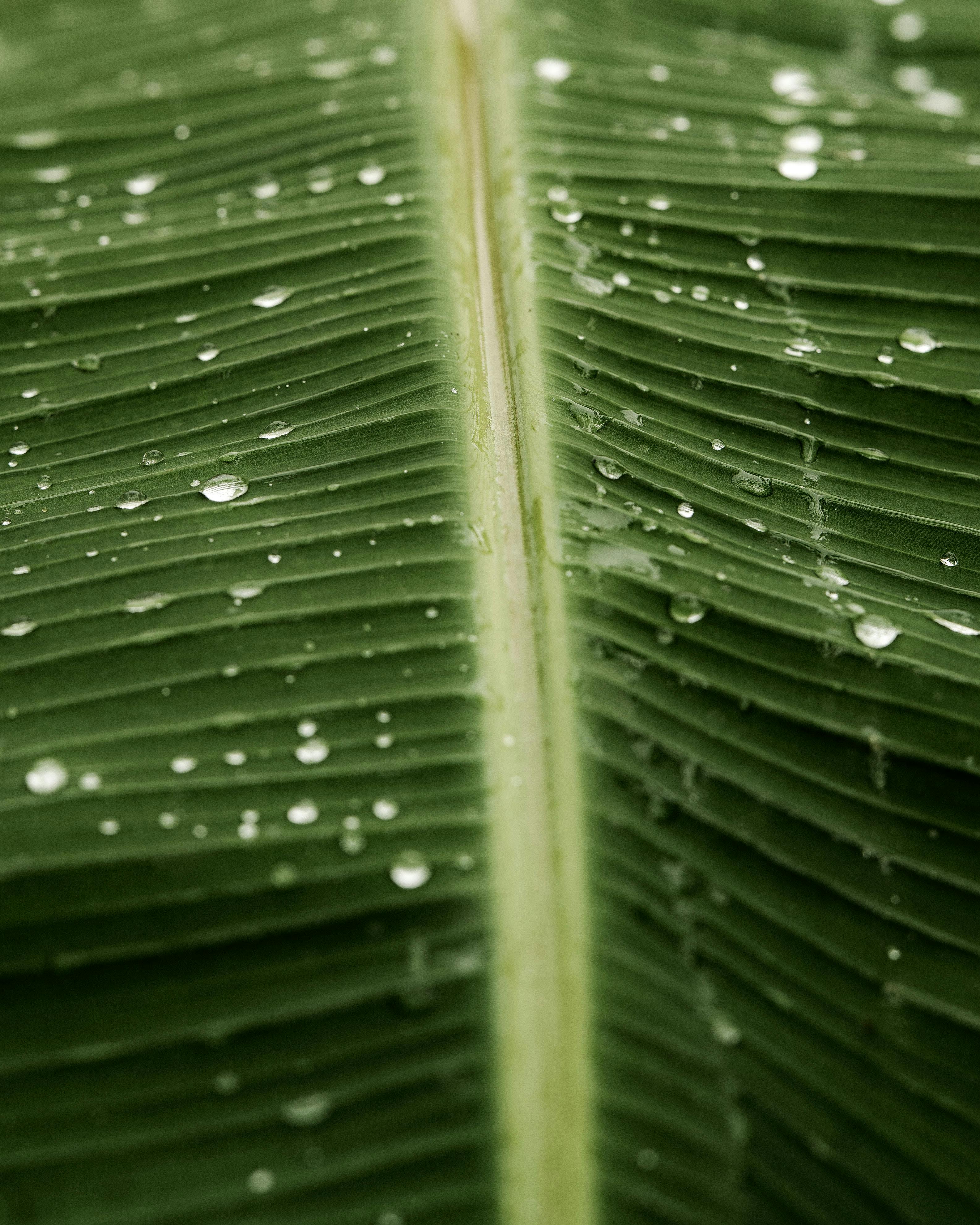 Autobiographies Inspiration