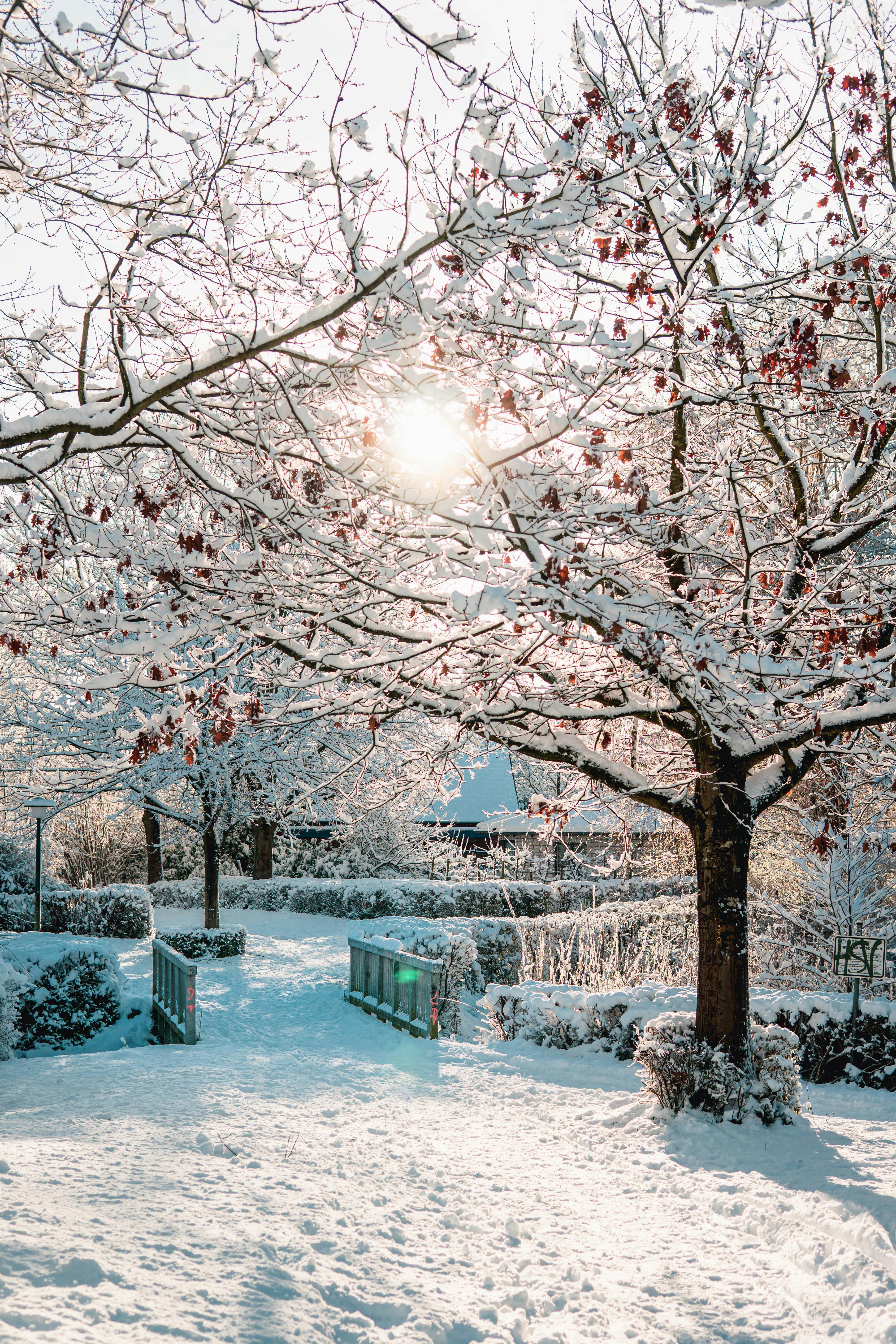 🔥 [50+] Winter iPhone Wallpapers Tumblr | WallpaperSafari, image size:3791x5686