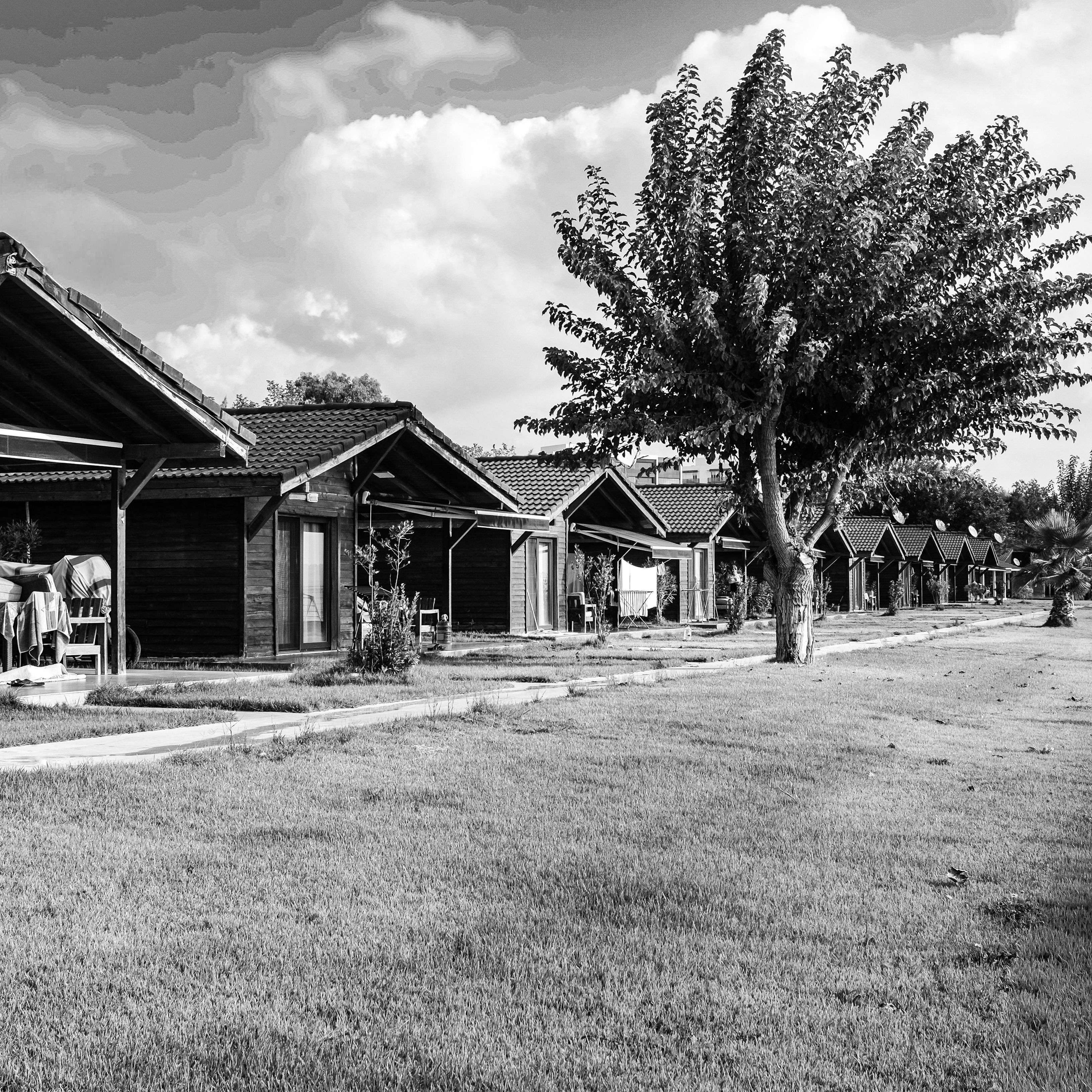 Black and white image of identical suburban houses with trees and clear sky.