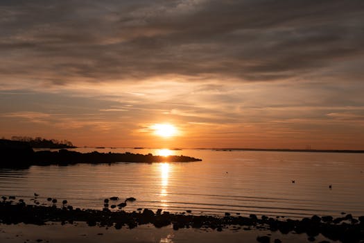 Beautiful sunrise over Cove Island Park in Stamford, Connecticut, with calm waters and a winter atmosphere.