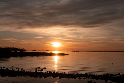 Free Beautiful sunrise over Cove Island Park in Stamford, Connecticut, with calm waters and a winter atmosphere. Stock Photo
