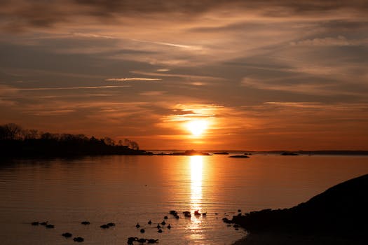Peaceful winter sunrise at Cove Island Park, Stamford, Connecticut with geese on the water.