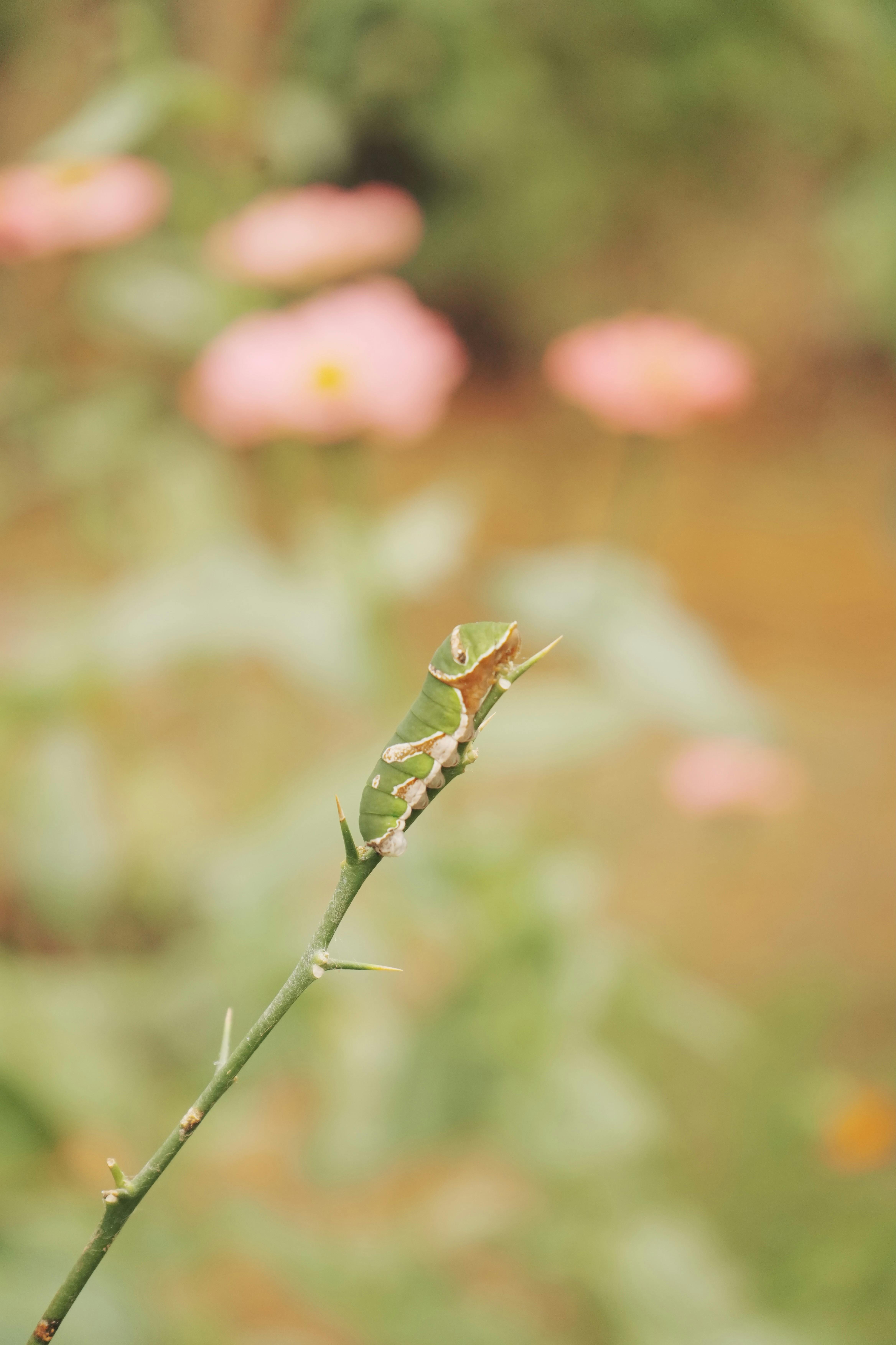 Performance Breakdown: Blending, Whipping, and Beyond