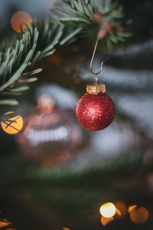 Free Glittery red ornament hanging on a Christmas tree branch, creating a festive holiday ambiance. Stock Photo