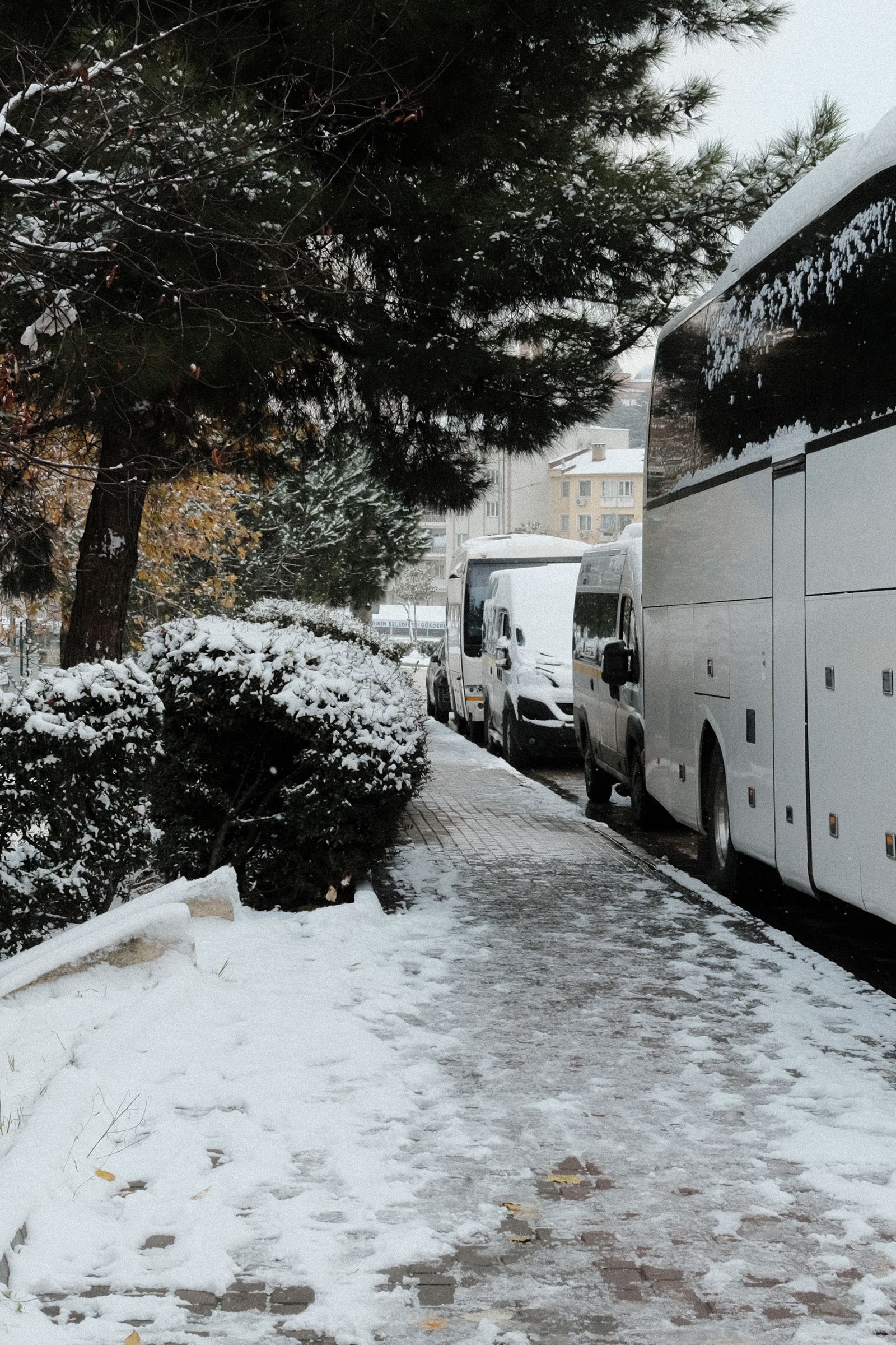 Автобусна подорож узимку: підготовка до холоду й затримок: практична порада