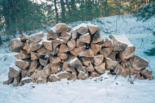 Free Pile of snow-covered firewood logs in a serene winter forest setting. Stock Photo