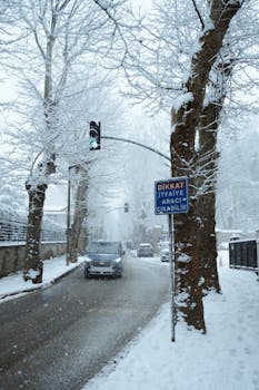 A snowy street scene in Istanbul, featuring cars, trees, and a traffic light during winter.