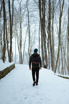 A solitary man with a backpack walks through a snowy forest path in İstanbul, Türkiye.