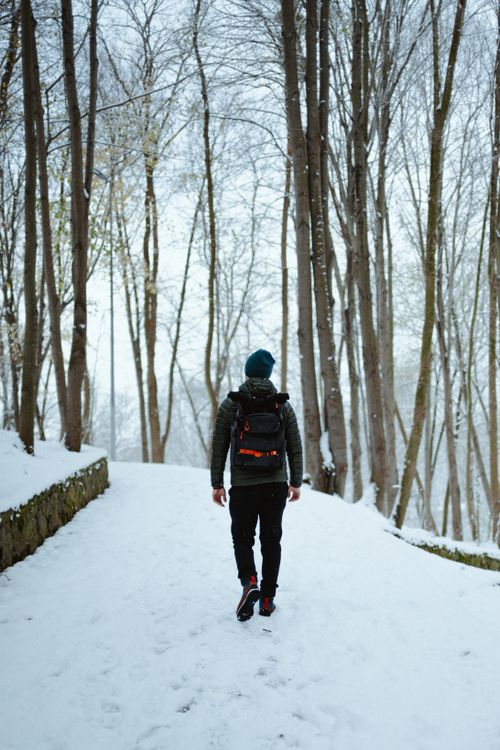 Free A solitary man with a backpack walks through a snowy forest path in İstanbul, Türkiye. Stock Photo