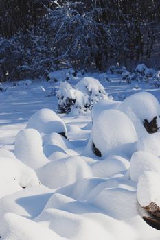 Scenic view of snow-covered rocks in a tranquil winter forest, serene landscape.